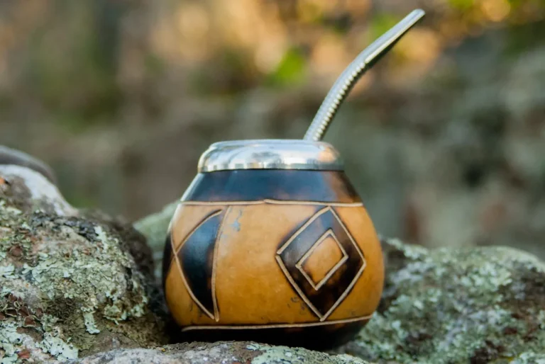 Mate Calabaza Mariposa bombillával