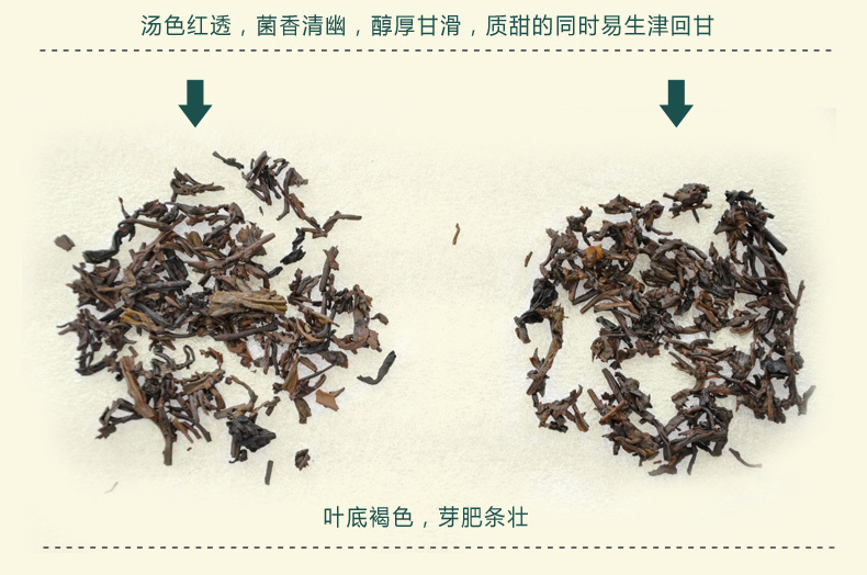 Menghai-Dayi-2013-Menghai-Dayi-premium-puerh-tea-