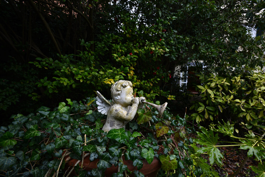 lucca kamélia fesztivál