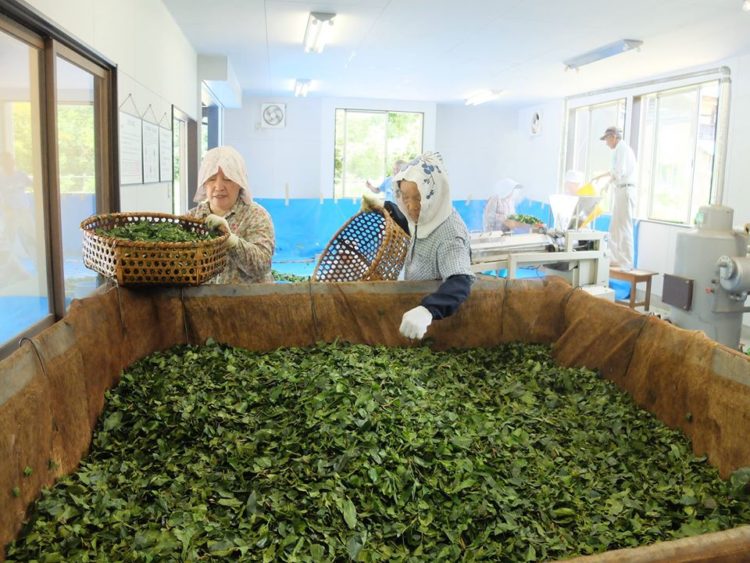 asahi batabata cha 4