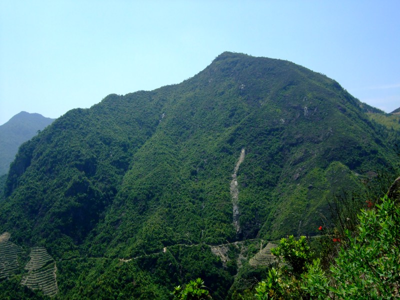 Belső Anxi organikus teaültetvény