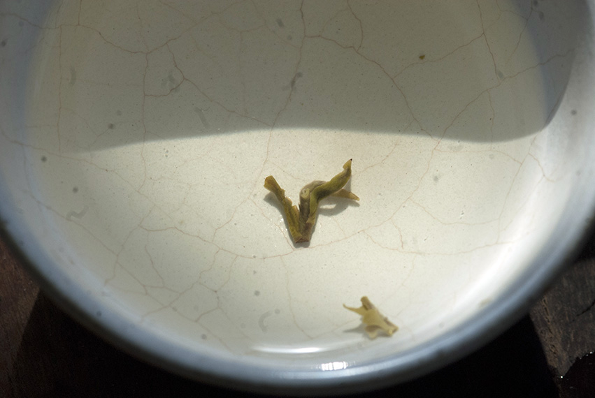 bi luo chun kínai kora tavaszi zöld tea