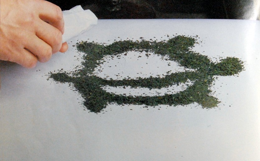 teknős, öröklét, tea