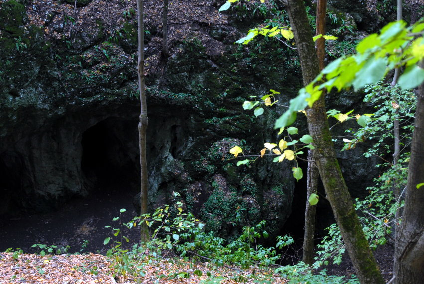 feng-huang-dan-cong-kirandulas