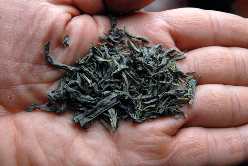 Hainan az első tea az északi féltekén