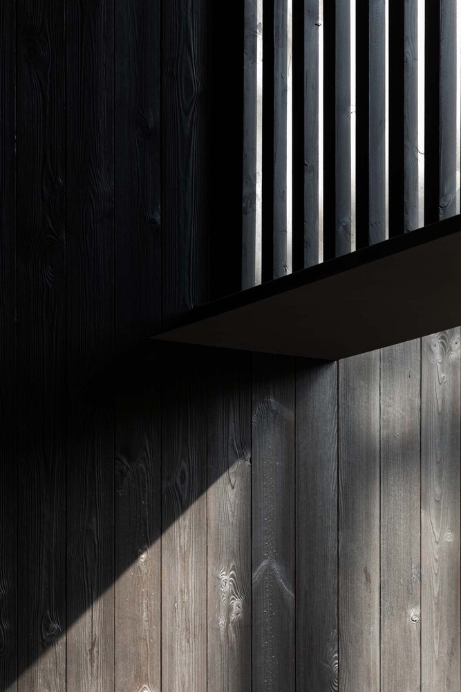 wuhani forest teaház