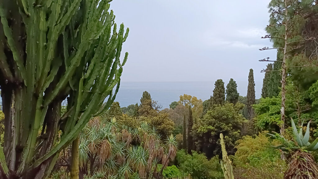 hanbury botanikus kert