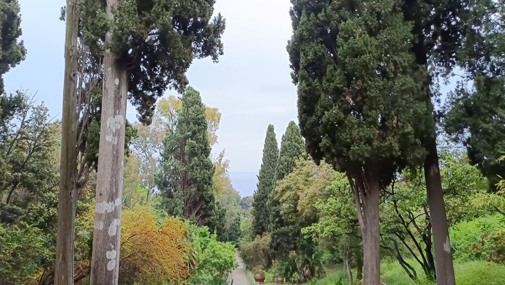 teakereskedőből kertész. A Hanbury botanikus kert