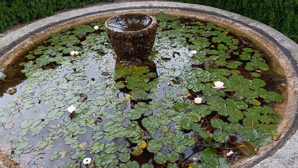 teakereskedőből kertész. A Hanbury botanikus kert