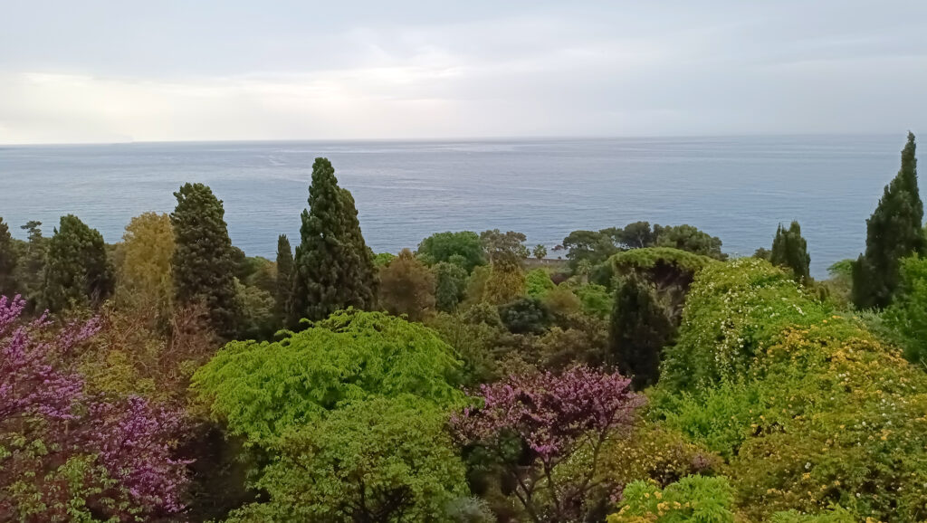 teakereskedőből kertész. A Hanbury botanikus kert