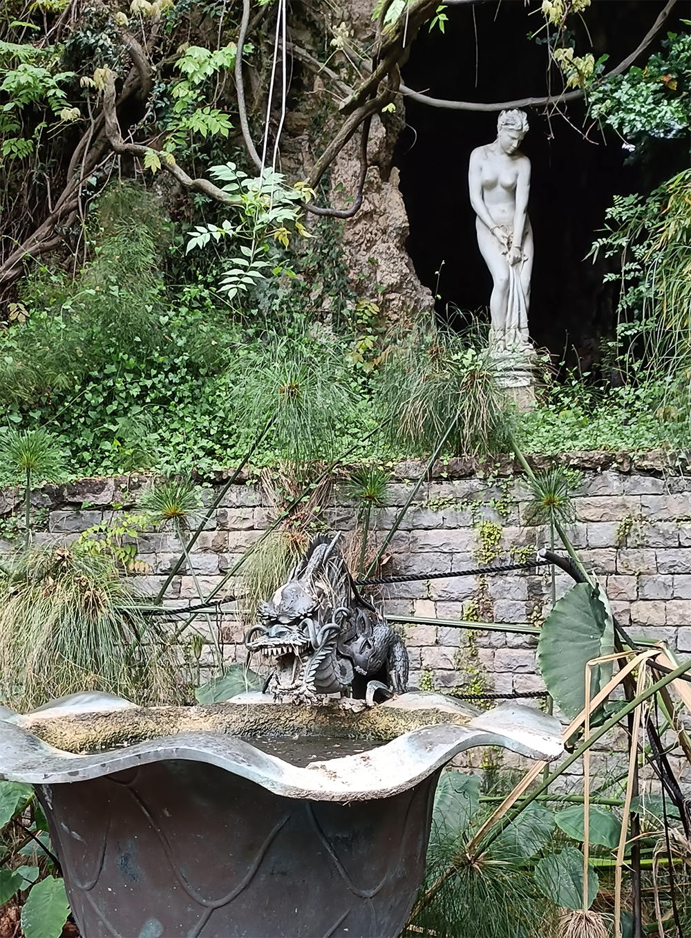 teakereskedőből kertész. A Hanbury botanikus kert