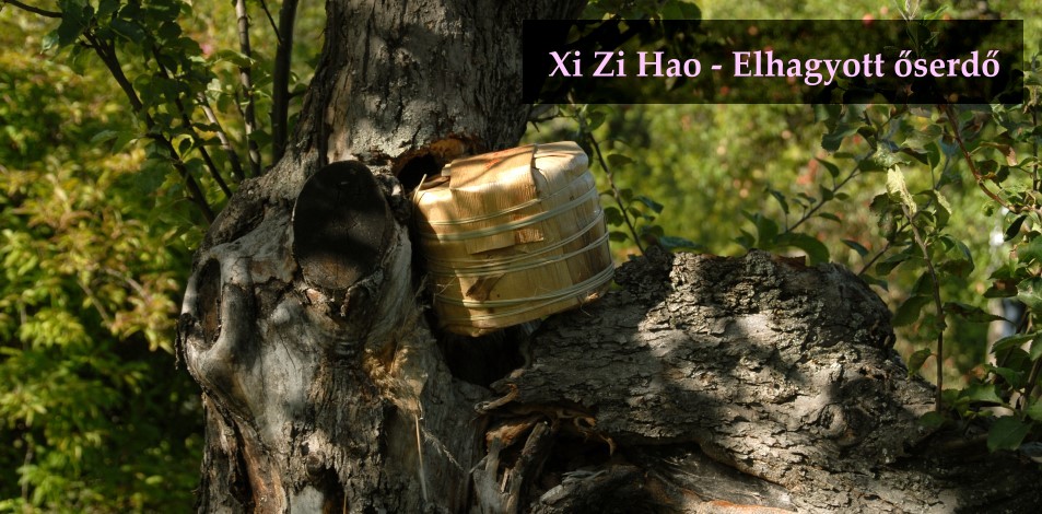 xi zi hao huang shan lin