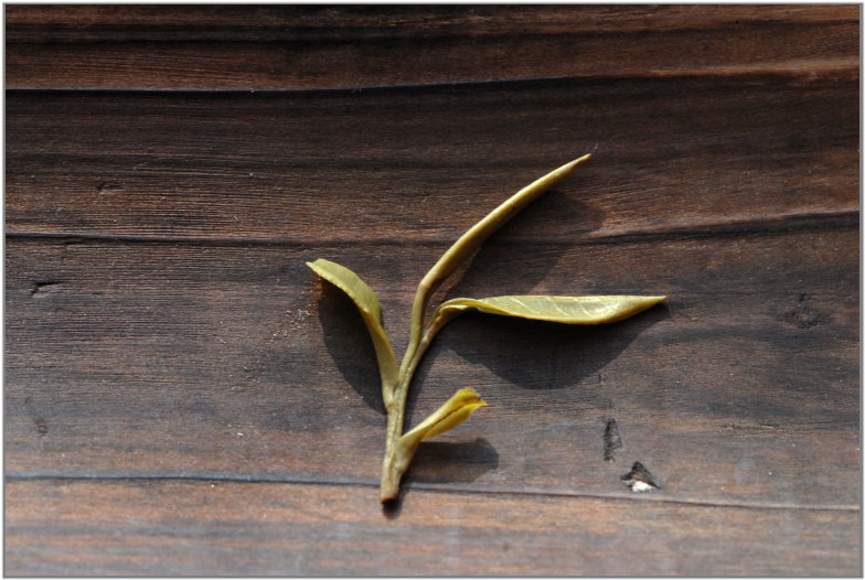 dabie_mountain_huoshan. 霍山黄芽 Huo Shan Huang Ya - A Huo hegy sárga rügyei