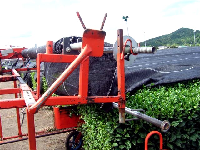 kabusecha japán árnyékolt zöld tea