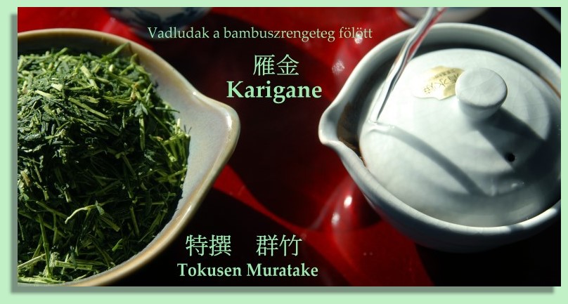 gyokuro karigane japán zöld tea