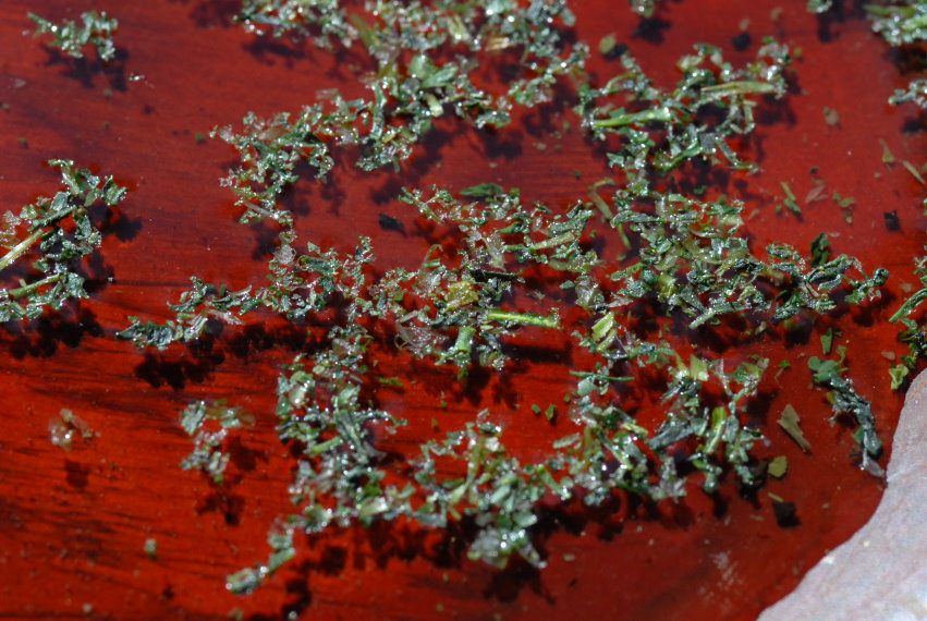 konacha japán zöld tea