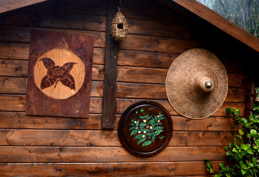 lucca kamélia fesztivál