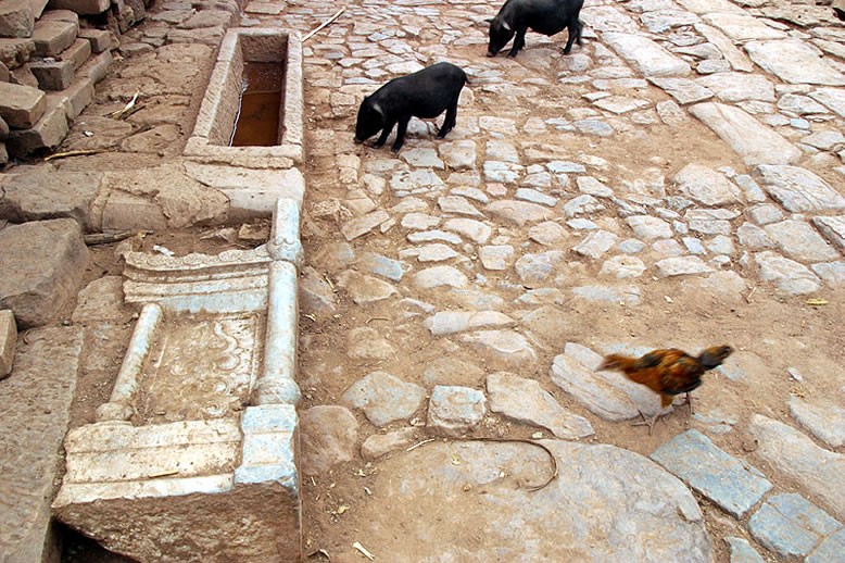 yibang puer tea hegység