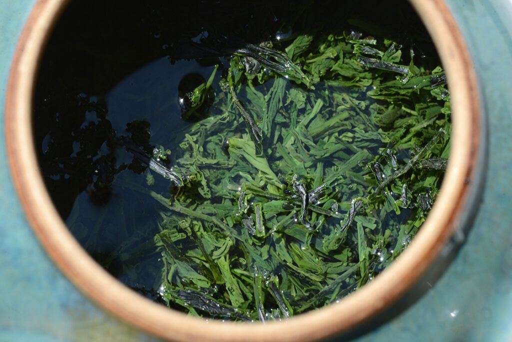 marukyu-koyamaen shincha 2016 kin gold