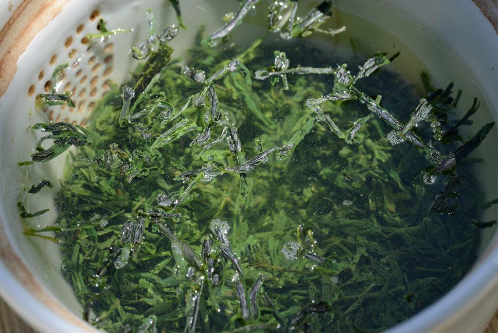 marukyu-koyamaen-shincha-gin-2019