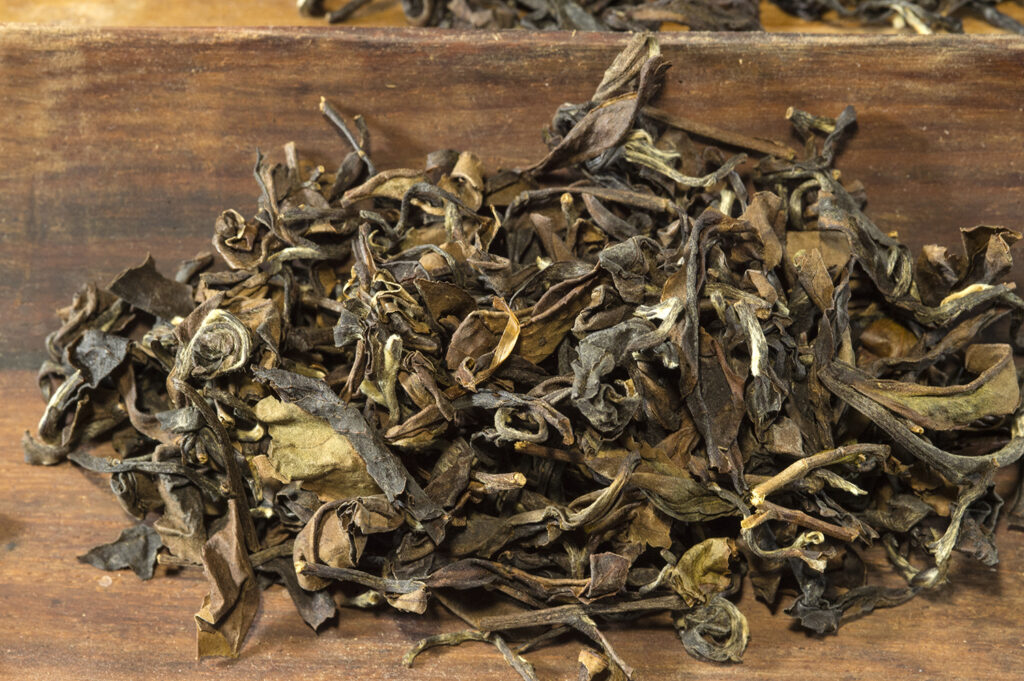 Oriental Beauty No 5.