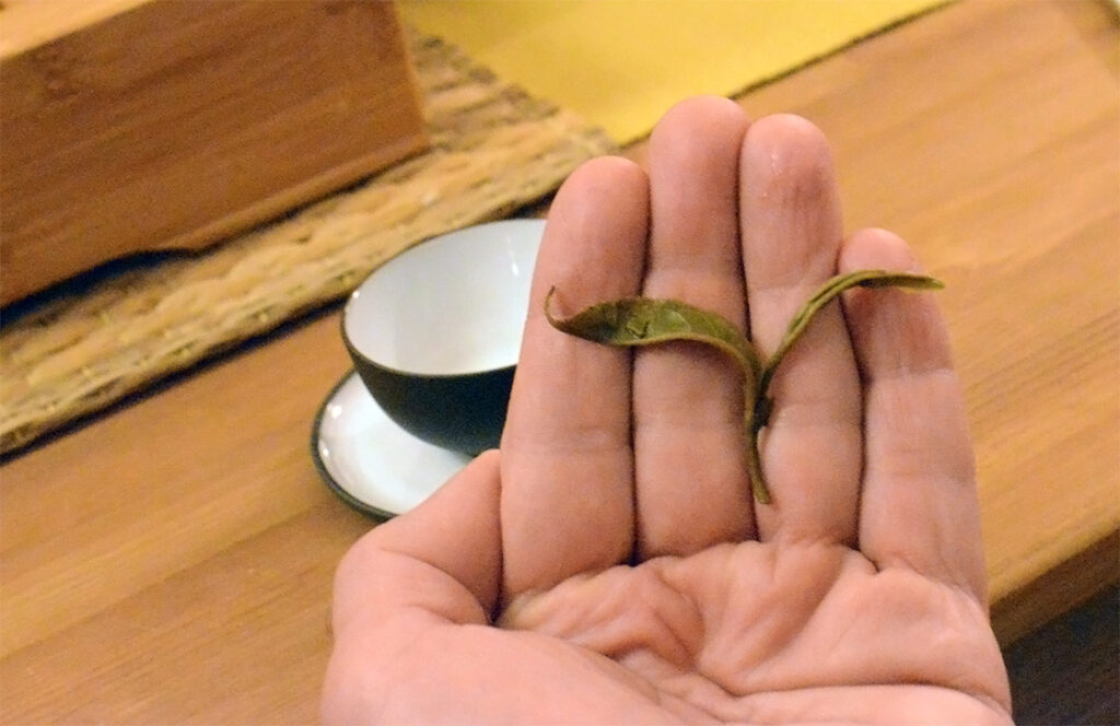 William, Osmont a teakertész