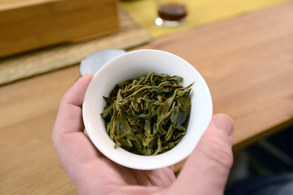 William, Osmont a teakertész