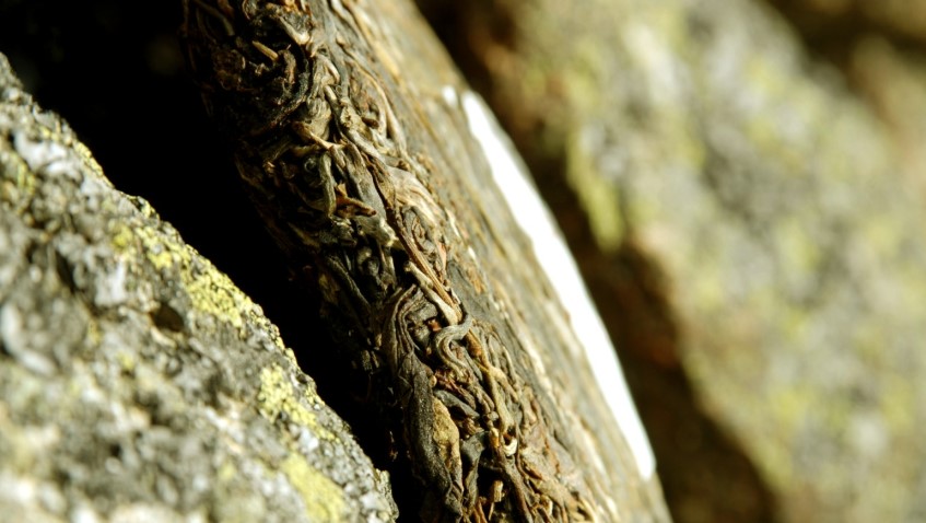 távoli hegyek vad teafái