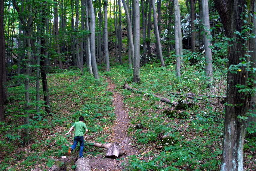 feng-huang-dan-cong-kirandulas