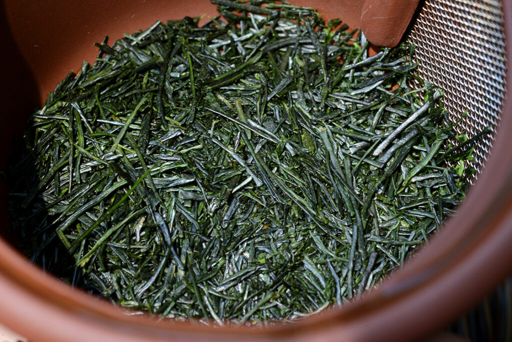 asamiya tea