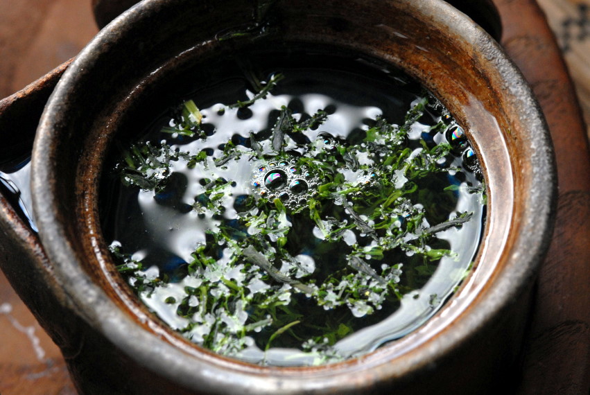 Marukyu-Koyamaen tokusen shincha