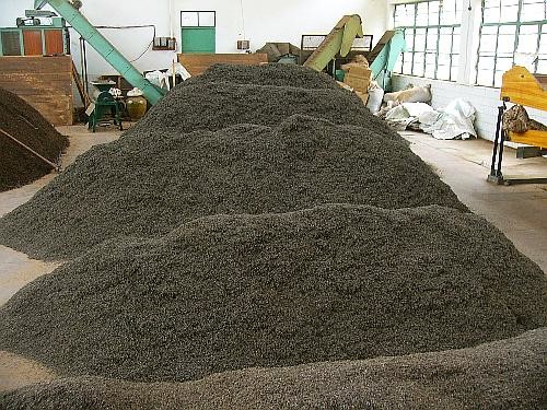 shu puer tea gyártás