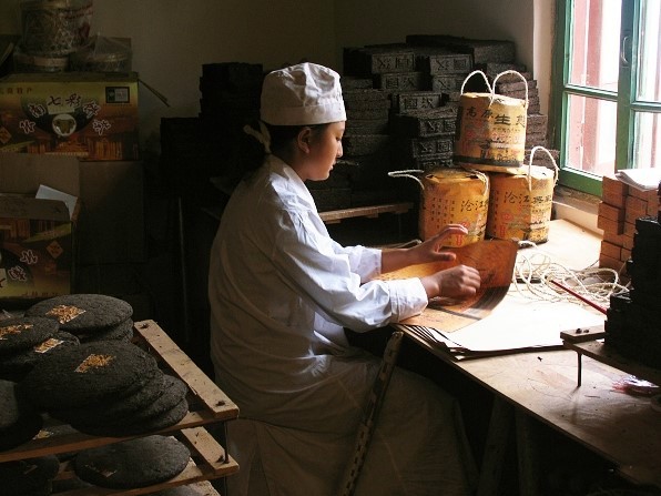 shu puer tea gyártás