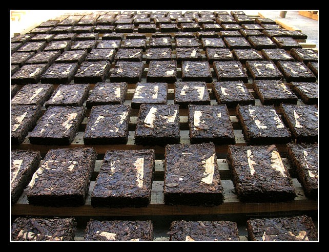 shu puer tea gyártás