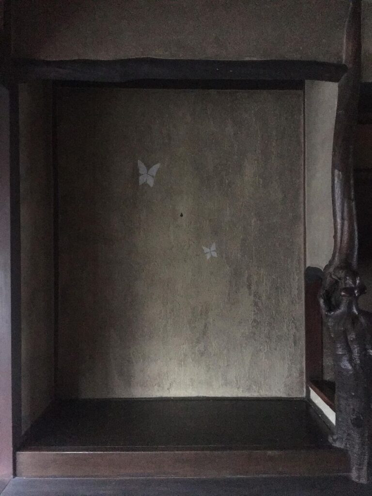 ティッシュ Szövet