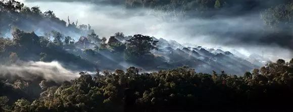 2005 Részeg pillangó sheng puerh tea