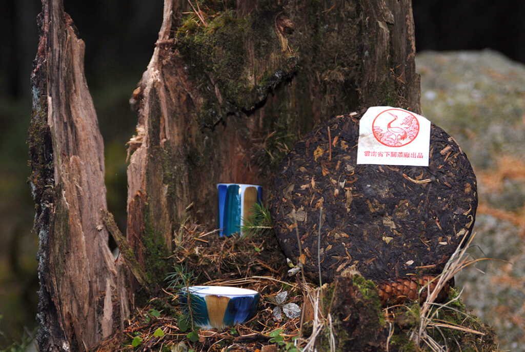 2010 Xiaguan - Ősi, vad teafák lombja