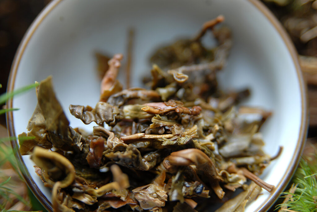 2010 Xiaguan - Ősi, vad teafák lombja sheng puerh tea