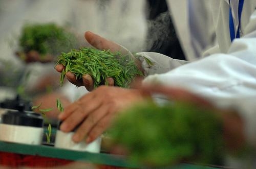 xinchang-longjing-verseny