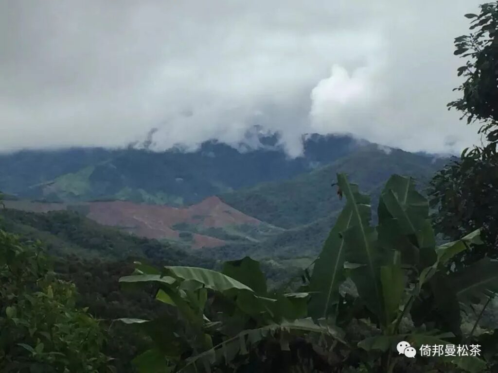 yibang-puer-tea-hegyseg