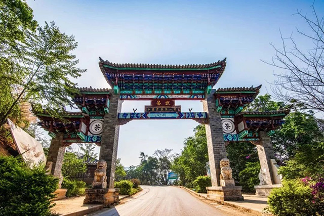 yiwu tea hegység 易武茶山 78