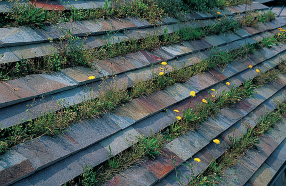 Terunobu Fujimori repülő teaházai