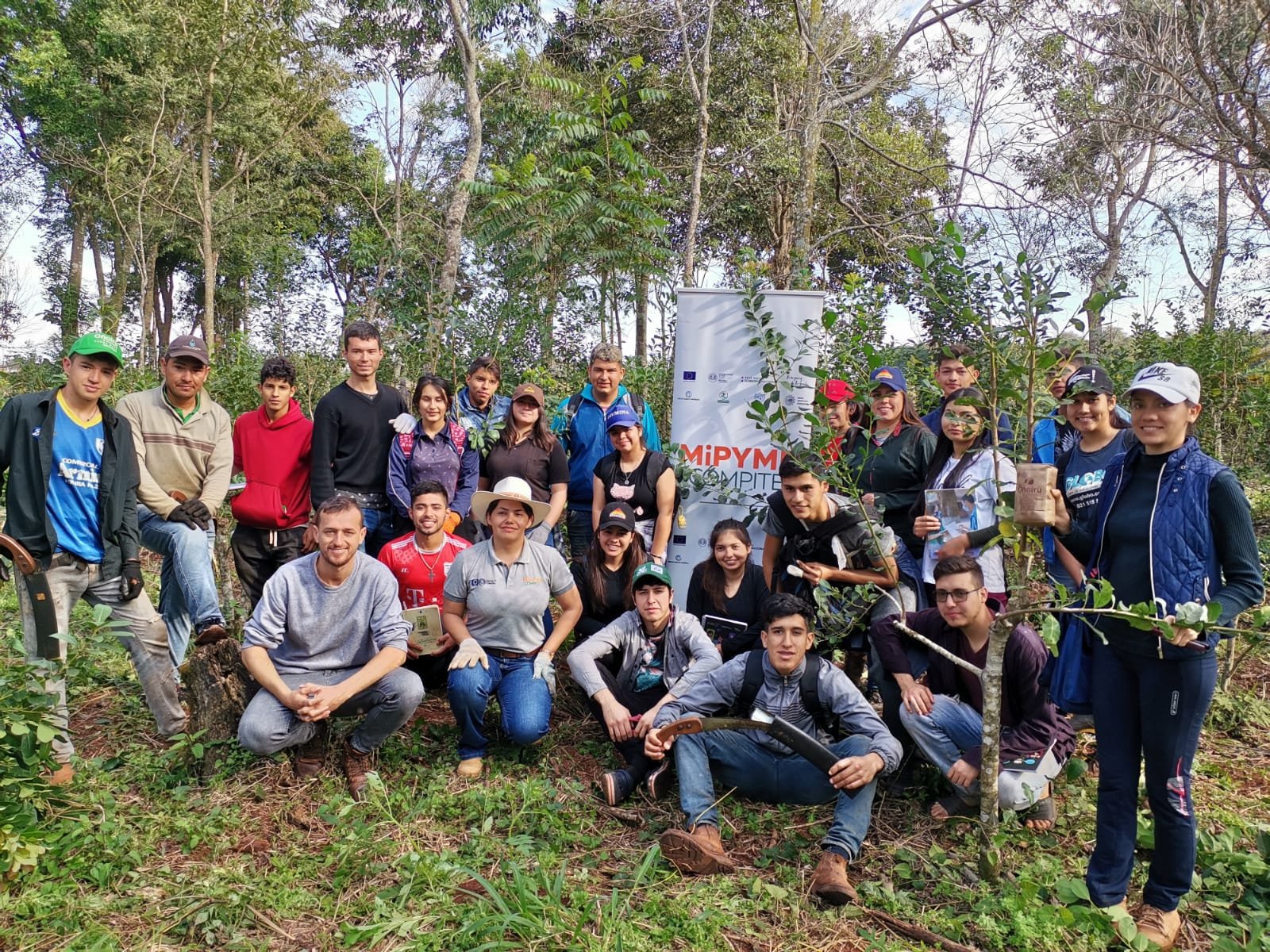 yerba mate tea teautja
