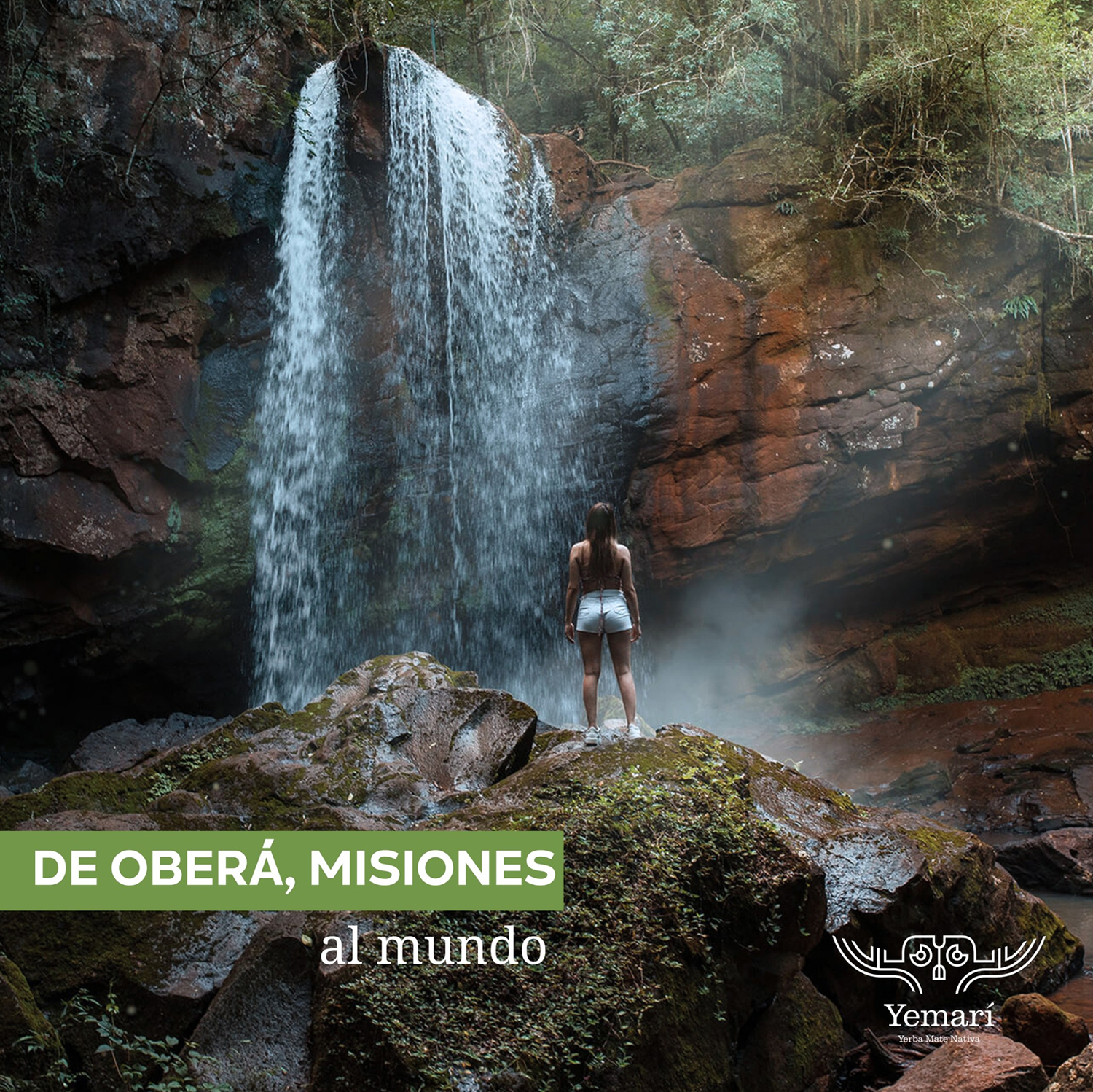 yerba mate áruház teautja