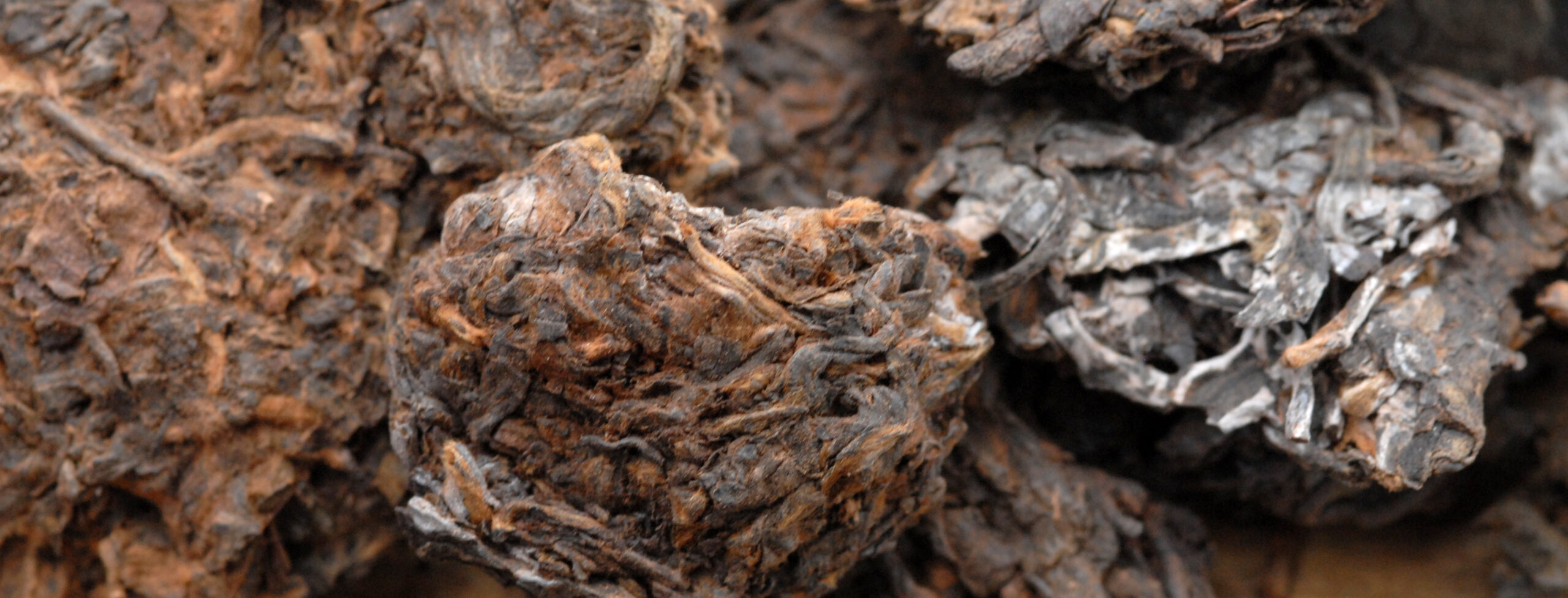 aged puer tea