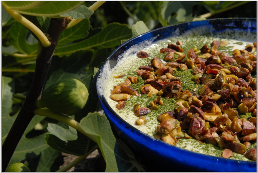 fuge-pisztacia-matcha-zold-tea-tiramisu