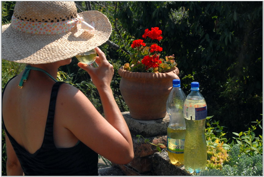 fuge-pisztacia-matcha-zold-tea-tiramisu