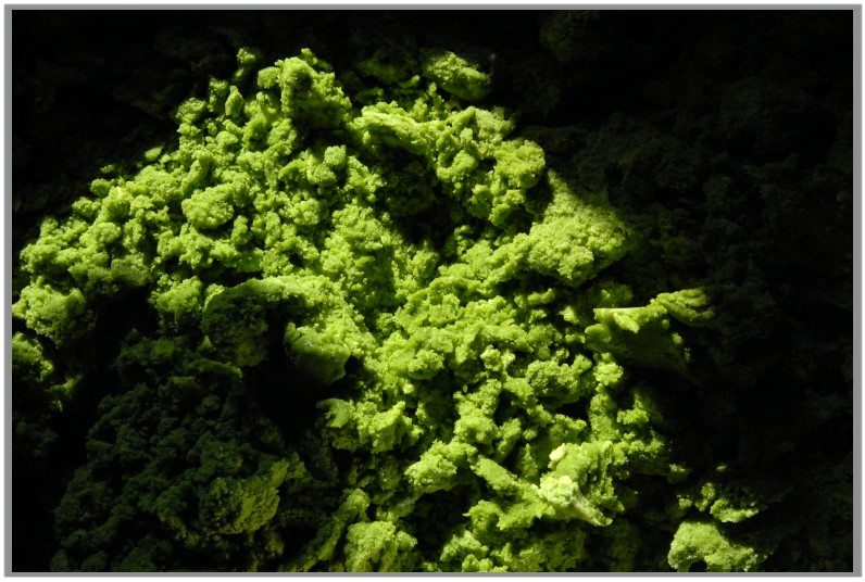 Vaj, liszt, tea, cukor, só