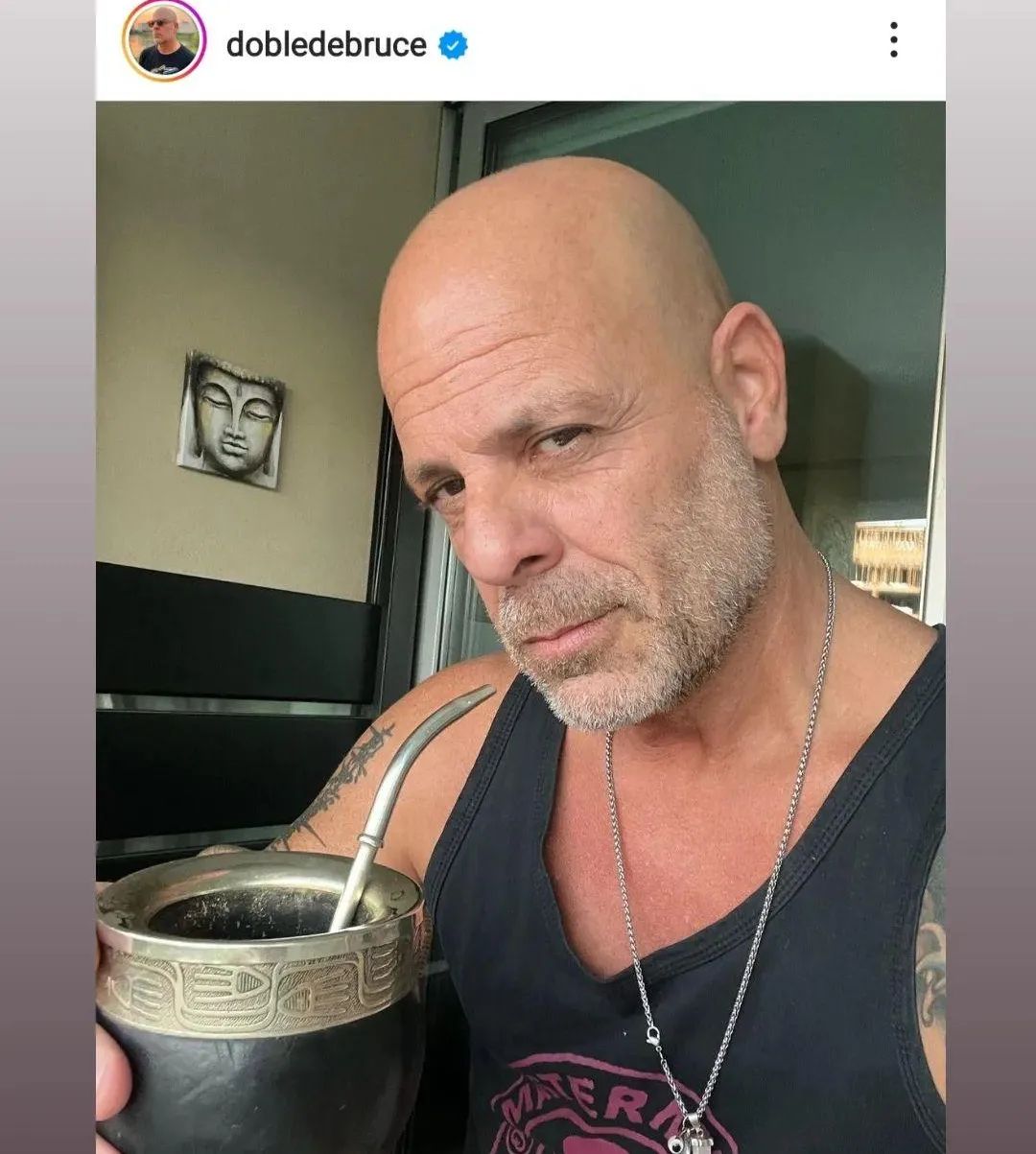 yerba mate tea teautja