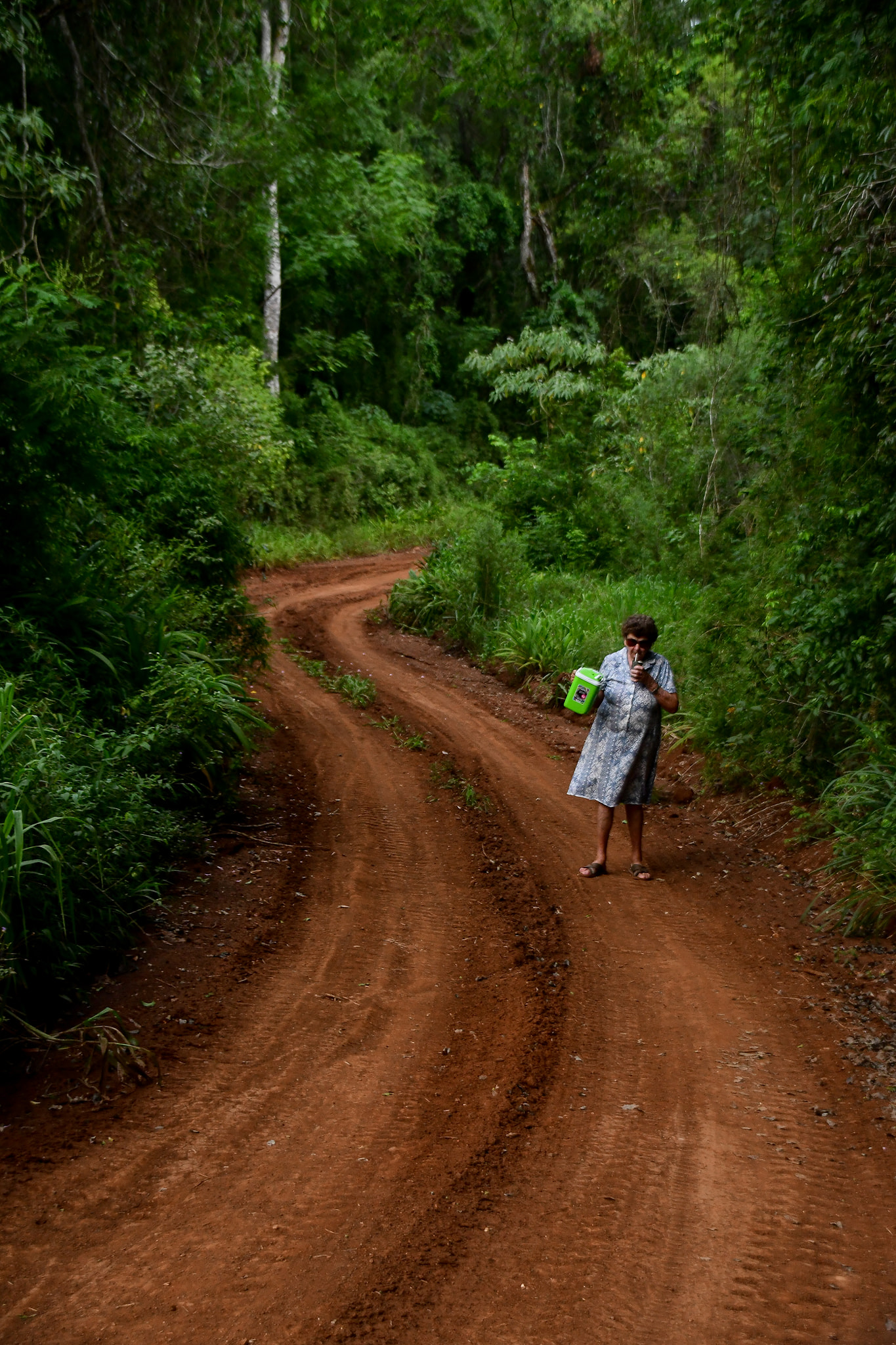 yerba mate áruház teautja